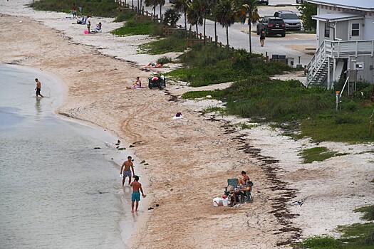 Огромные «огненные черви» заполонили берег США