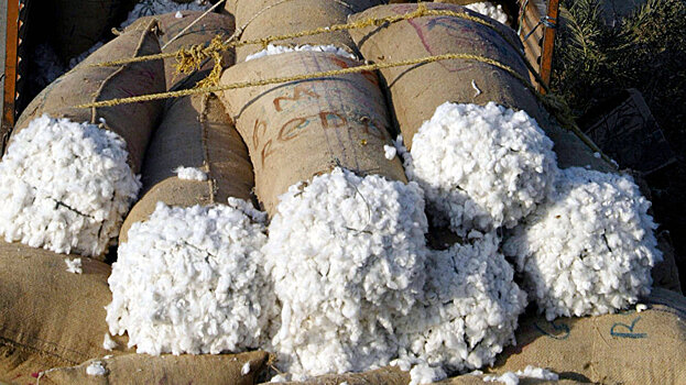 Узбекистан направит на модернизацию хлопковой отрасли $27,2 млн