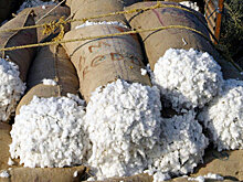 Узбекистан направит на модернизацию хлопковой отрасли $27,2 млн