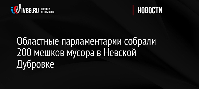 Областные парламентарии собрали 200 мешков мусора в Невской Дубровке