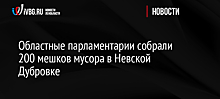 Областные парламентарии собрали 200 мешков мусора в Невской Дубровке