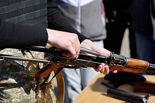 На Украине предложили понизить ответственность на незаконное владение оружием