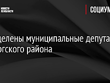 Определены муниципальные депутаты Выборгского района