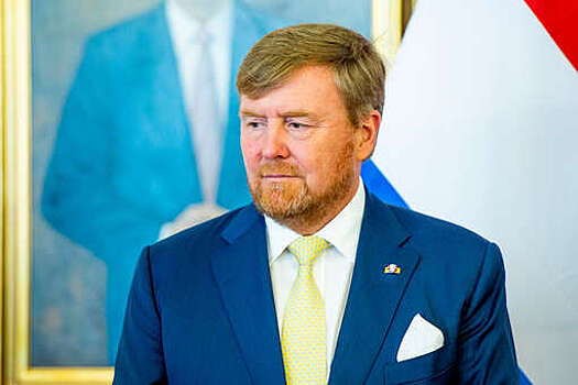 Король Нидерландов отменил визит в США по совету врачей