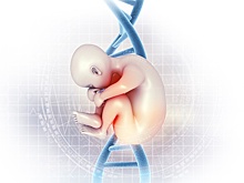 Нобели из пробирки: почему высокий IQ не гарантирует успеха в жизни