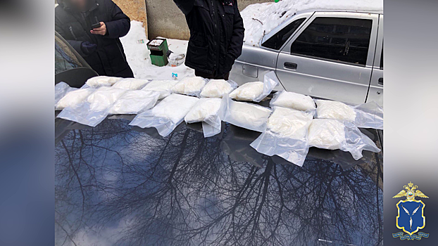 Полиция в Саратовской области пресекла перевозку и дальнейший сбыт жителем Подмосковья наркотиков