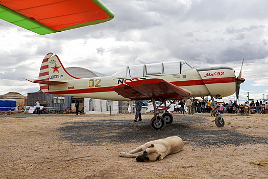 Генерал Липовой оценил «охоту» на беспилотники с помощью самолетов