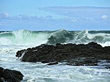 Появились подробности о дрейфовавшем два месяца в Охотском море подростке