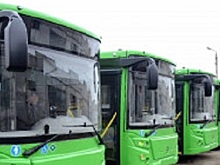 В Петербурге «Пассажиравтотранс» потратит 3 млрд рублей на приобретение 114 новых автобусов