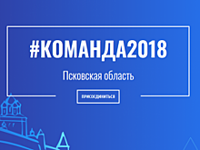 Псковские власти намерены увеличить число грантов для НКО в рамках проекта "Команда 2018"