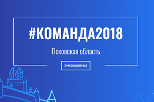 Псковские власти намерены увеличить число грантов для НКО в рамках проекта "Команда 2018"