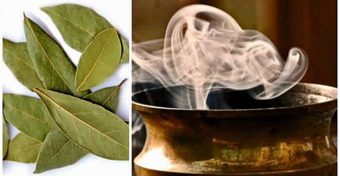 Поможет с деньгами и здоровьем: для чего стоит сжигать лавровый лист, и как правильно это делать