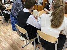 В школах Курска работают 84 советника директоров