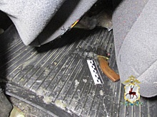 Браконьера осудят за убийство лося и беременной лосихи в Нижегородской области