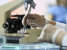 В Перми построят лабораторию для изучения опасных инфекций