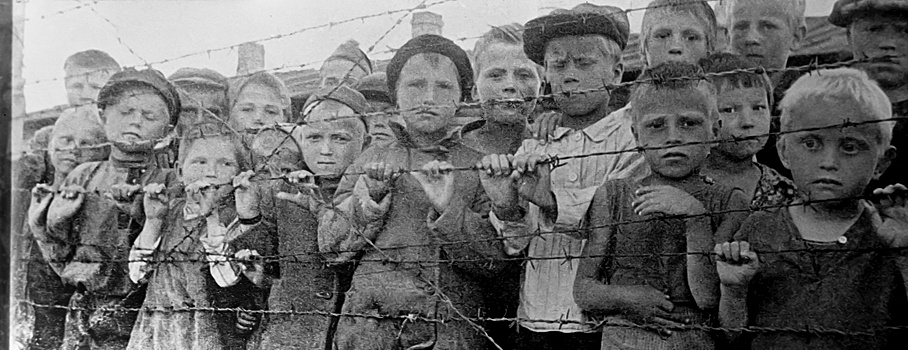 Николай Долгополов: Истребление русских было поставлено финнами на поток