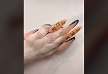 Блогерша разозлила подписчиков накладными ногтями для собаки