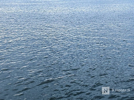 Гибель мужчин в нижегородских водоемах закончилась проверкой СК