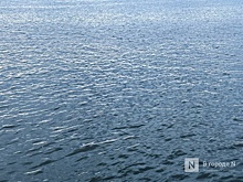 Скоростные водные рейсы запустят между Нижним Новгородом и Ярославлем