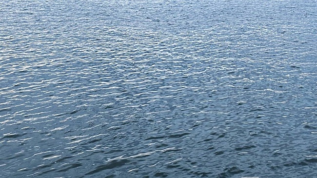 Спасатели 10 дней ищут тело мужчины в Горьковском море