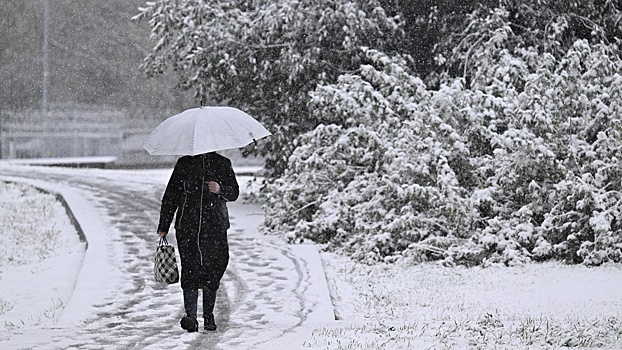 «Фобос» сообщил о морозной погоде в Москве 1-5 января