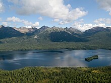 Песков рассказал, продолжает ли Шойгу заниматься проектом по заселению Сибири