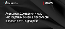 Александр Дрозденко: число многодетных семей в Ленобласти выросло почти в два раза