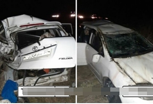 Омича, сбившего собаку и оставившего ее умирать, спустя год настигла карма