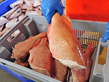 «Рыбный король» Виталий Орлов сообщил о прекращении дела о мошенничестве в «Норебо»