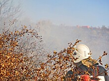 Тело погибшего от пожара на востоке Казахстана обнаружили с помощью служебной собаки