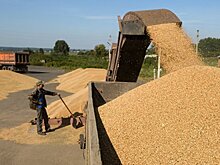 В Вологодской области посевные пощади для яровых увеличатся на 5%