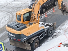 Во Владивостоке незаконно вырубили деревья у исторического редута