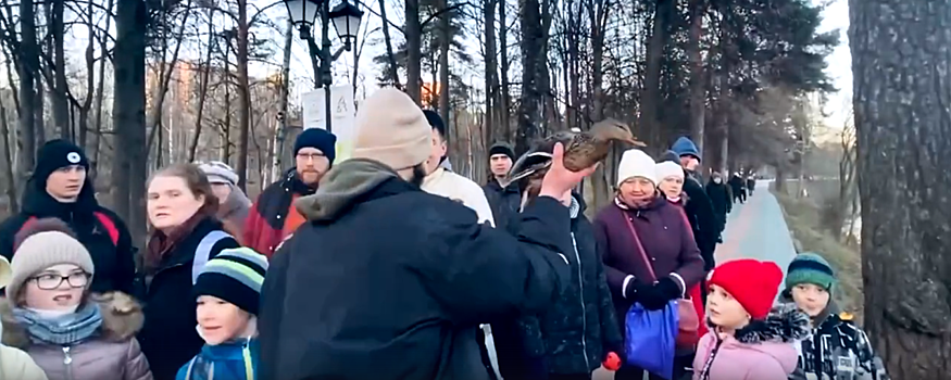 В Красногорске прохожие помогли примерзшей ко льду утке