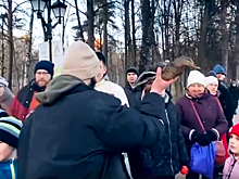 В Красногорске прохожие помогли примерзшей ко льду утке