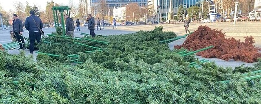 В Краснодаре началась установка 22-метровой новогодней ели на Главной площади города