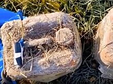 Теракт на форуме в Бердянске планировали совершить двое украинских диверсантов