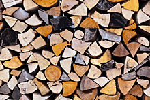 Какие дрова лучше выбрать и почему: плюсы и минусы дров из разных видов дерева