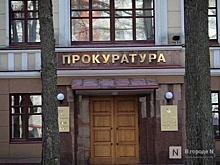 В Нижнем Новгороде проверят детдом, в котором якобы отмечали День матери
