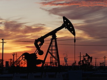 Цена нефти Brent превысила $110 за баррель впервые с 31 марта