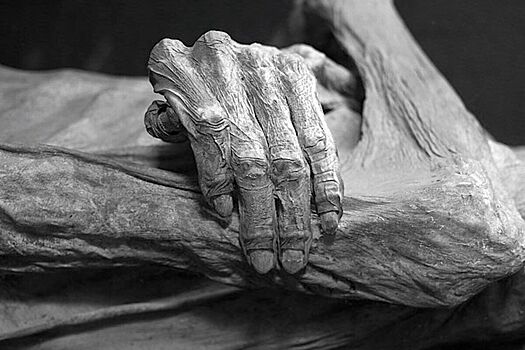 Древнее египетских: найдены самые старые в мире мумии