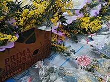 В Рыбинске наказывают штрафом за незаконную торговлю цветами