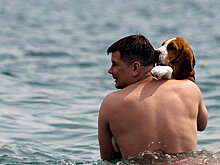 В Крыму озвучили правила отдыха на пляжах