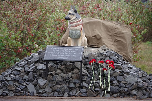 В Коми открыли памятник овчарке, погибшей при спасении военных в зоне СВО
