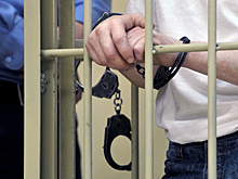 Атаковавший сайт Кремля хакер из Новосибирска амнистирован