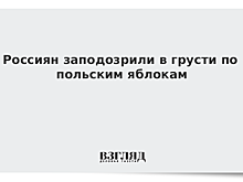 Россиян заподозрили в грусти по польским яблокам