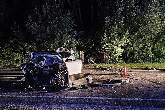 С начала 2025 года на дорогах Мордовии в авариях погибло 48 человек