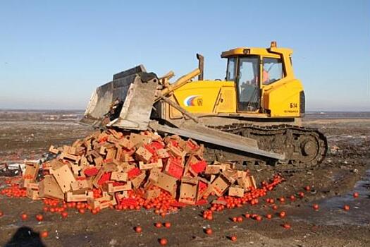 В январе-феврале 2017 года на Кубани уничтожено 13,4 т запрещенной продукции