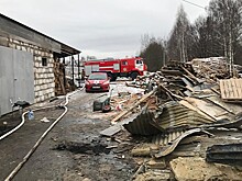 Посольство Таджикистана опровергло гибель своих граждан в Раменском