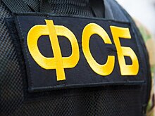 ФСБ пресекла в Крыму поставки за рубеж разработок в сфере военного кораблестроения