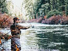 Пермяк выловил 56-килограммового сома